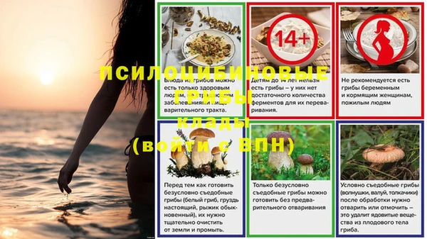 прущая мука Алзамай