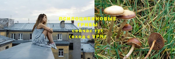 прущая мука Алзамай