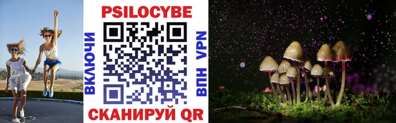 Галлюциногенные грибы Magic Shrooms  Чекалин 