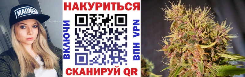 Конопля планчик  Чекалин 